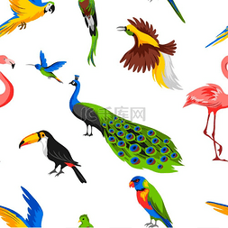 热带雨林鹦鹉图片_无缝图案搭配热带珍禽丛林和热带