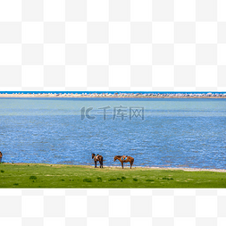 青海双飞图片_青海夏天西宁青海湖