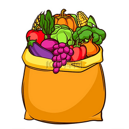 节日和季节图片_收获袋装时令水果和蔬菜的插图。