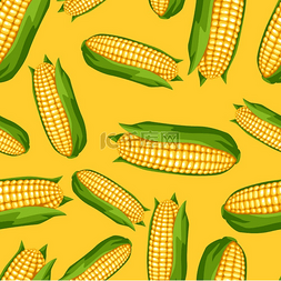 金色玉米图片_无缝图案搭配甜金色成熟玉米农业