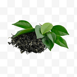 绿茶植物茶叶健康