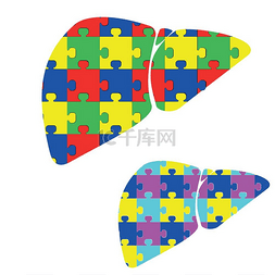 Liver hepar with color puzzles.. Liver hepar 