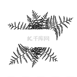 工业风网站ui模板图片_苦咸水的矢量图自然背景带树枝的