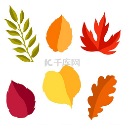 11套图片_一套程式化的秋叶。