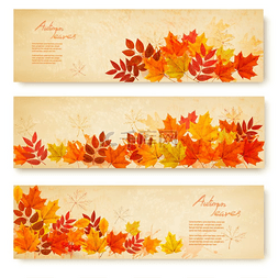 季节横幅图片_套与五颜六色的秋天叶子的三个自