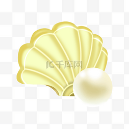 珍珠海贝壳图片_黄色贝壳珍珠剪贴画