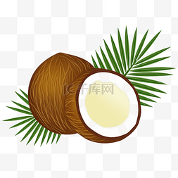 椰子树叶图片_夏天食物椰子椰子汁