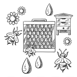 花和蜜蜂图片_养蜂业和养蜂场用蜂箱、蜂巢和蜜