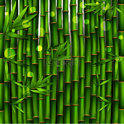 热带树叶矢量图图片_东方无缝绿色图案由年轻的热带竹