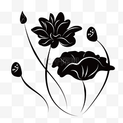 花卉黑色图片_花卉剪影荷花