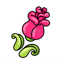 装饰玫瑰的插图粉红色的观赏花装