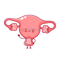 3d器官动态图图片_可爱有趣的女人子宫器官