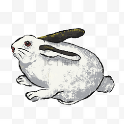 中国风古风水墨兔子兔年