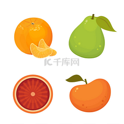 图标橘子图片_新鲜柑橘类水果，用橘子、柚子、