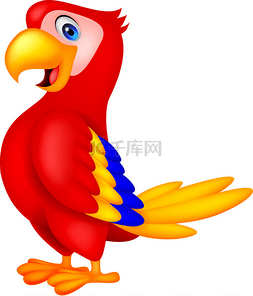 红色的太阳卡通手绘图片_可爱的金刚鹦鹉鸟卡通构成