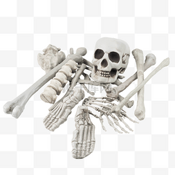 人体骨骼图png图片_万圣万圣节人体骨骼