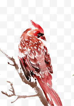 树枝彩色水墨画图片_红色的小鸟水墨