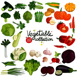 绿色和红色辣椒图片_蔬菜和草药的收集，包括马铃薯、