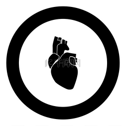 孤立的圆形矢量图中的人类心脏图
