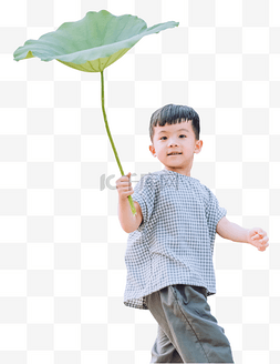 荷花图片_人物男童手拿荷叶走路