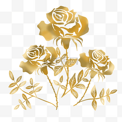抽象金边花卉金玫瑰植物