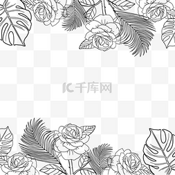 花卉热带植物线稿边框