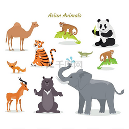 灰图片_亚洲动物区系物种骆驼熊猫老虎亚