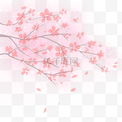 粉色桃花枝花卉