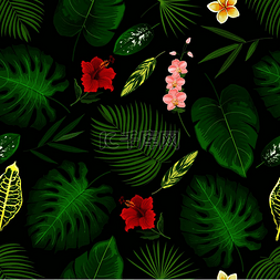 热带棕榈叶和奇花异草图案背景。