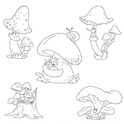 有趣的蘑菇的集合。矢量蘑菇汉字