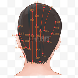 医学人的头部素材图片_头部经络穴位图