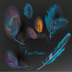 干净的空气图片_收集的矢量现实五颜六色的羽毛上