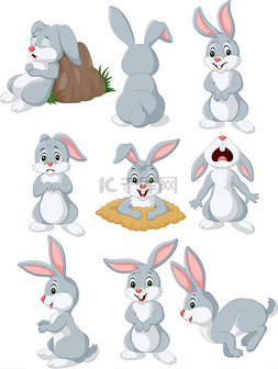 不同姿势和表情的卡通兔子