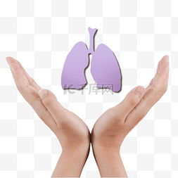 保护内脏保健肺部