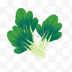 荤素菜品图片_素菜蔬菜小油菜