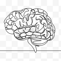 大脑思考素材图片_大脑组织思考线条画黑色