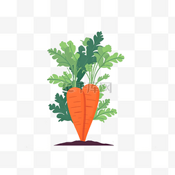 卡通蔬菜胡萝卜手绘