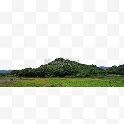 水稻风景图片_田野风景水稻山野