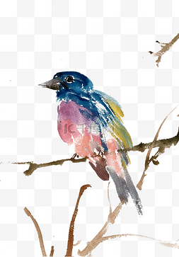 树枝彩色水墨画图片_彩色的小鸟