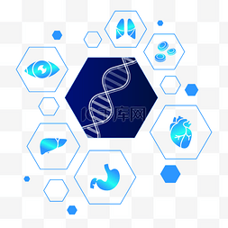 生物基因国潮图片_智慧医疗器官基因图标合集