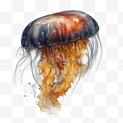 手绘水生物图片_卡通手绘水生物水母