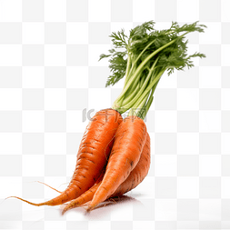 食物食品水果蔬菜实拍摄影免抠元