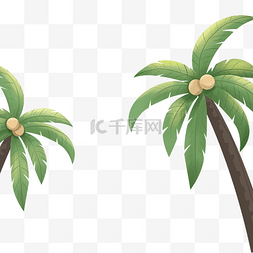 夏季海边植物椰子树