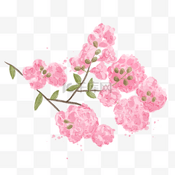 玫瑰花瓣矢量素材图片_紫薇花粉红色水彩风格树枝