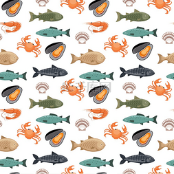 水下纹理图片_与不同类型的鱼在白色背景上的无