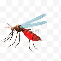 红色蚊子