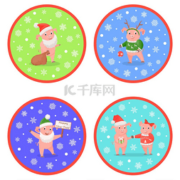 节日新年猪彩色圆形图像在雪花和