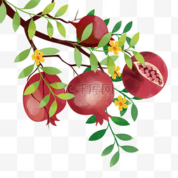 石榴矢量插画图片_石榴水果水彩风格丰收的果实