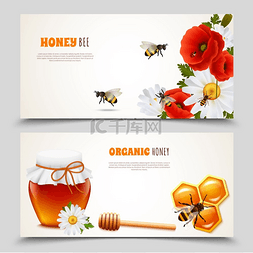 蜂蜜产品图片_蜂蜜横幅套装两个水平蜂蜜横幅上