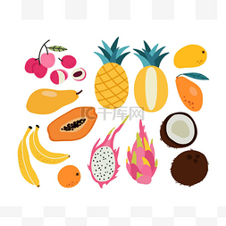 香蕉橙子图片_热带水果的矢量图解，在白色背景
